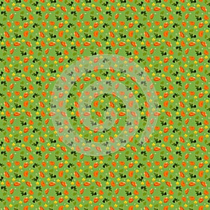 Pattern with pieces of pumpkin and a flower.